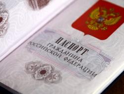 Как и за что могут лишить гражданства РФ – решение принимается только через суд?