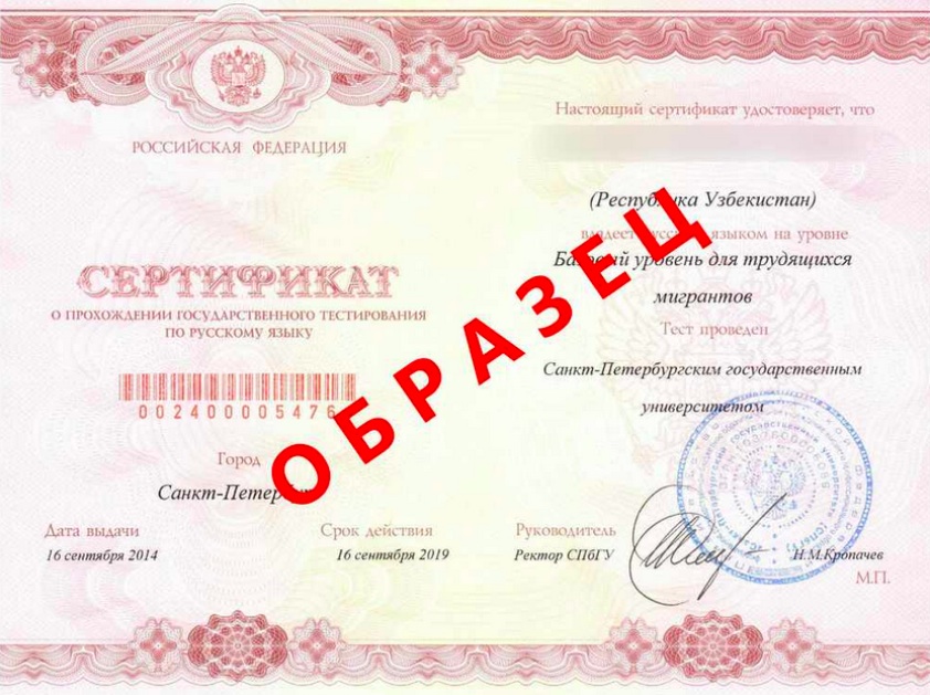 Сертификат носителя русского языка фото