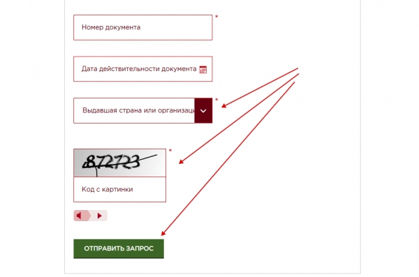 Как можно проверить запрет в россии. Дата действительности документа что это. ФМС проверка.